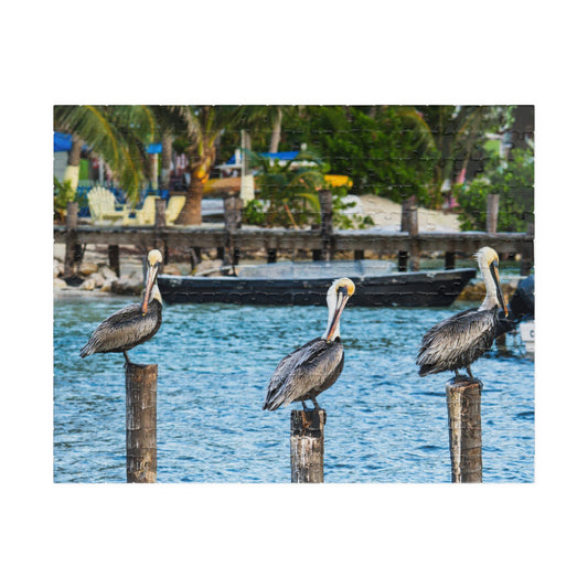 Pelican Harbor Jigsaw Puzzle — Scenic Coastal Bird Photography Puzzle (110–1014 pcs)