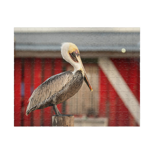 Caye Caulker Pelican Dock Jigsaw Puzzle — Brown Pelican over Red Boat Shelter (110–1014 pcs)