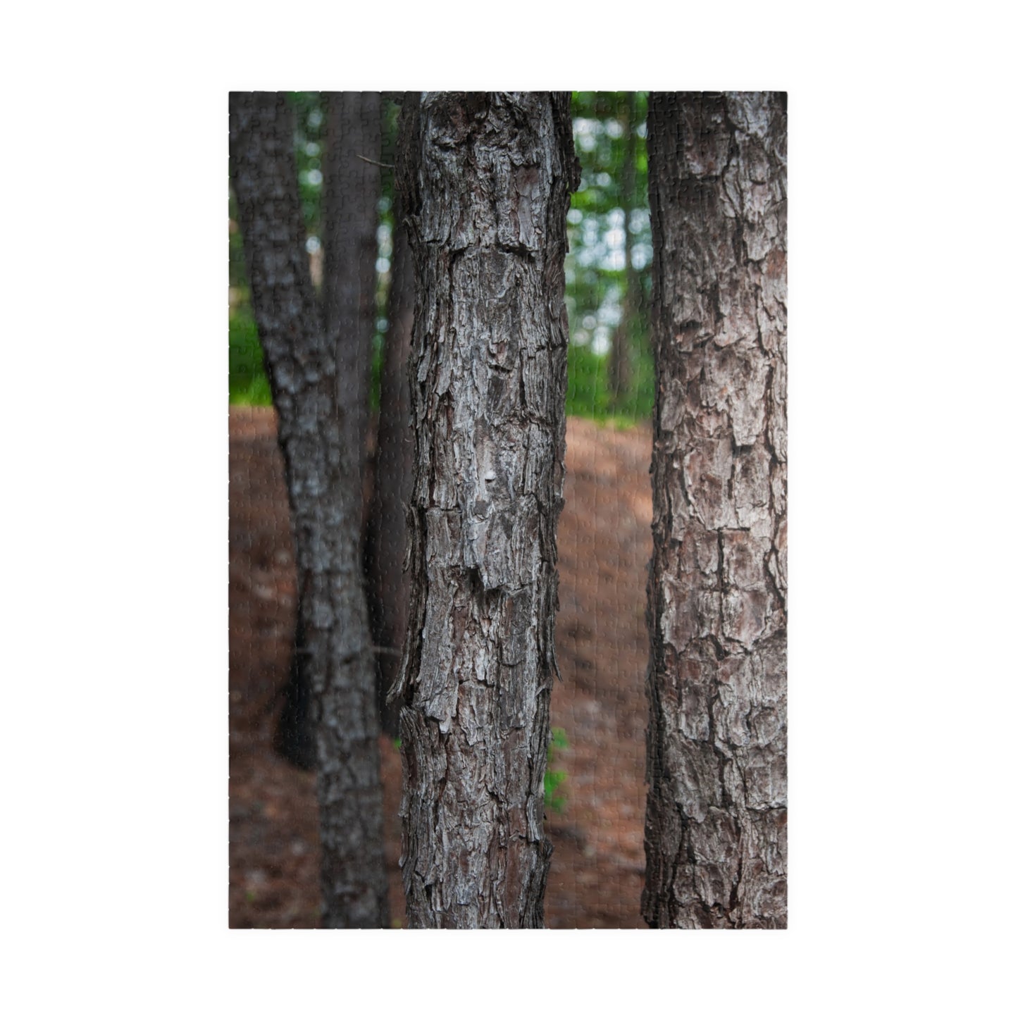 Tyler State Park Texas Jigsaw Puzzle — Scenic Nature Puzzle (110–1014 pcs)