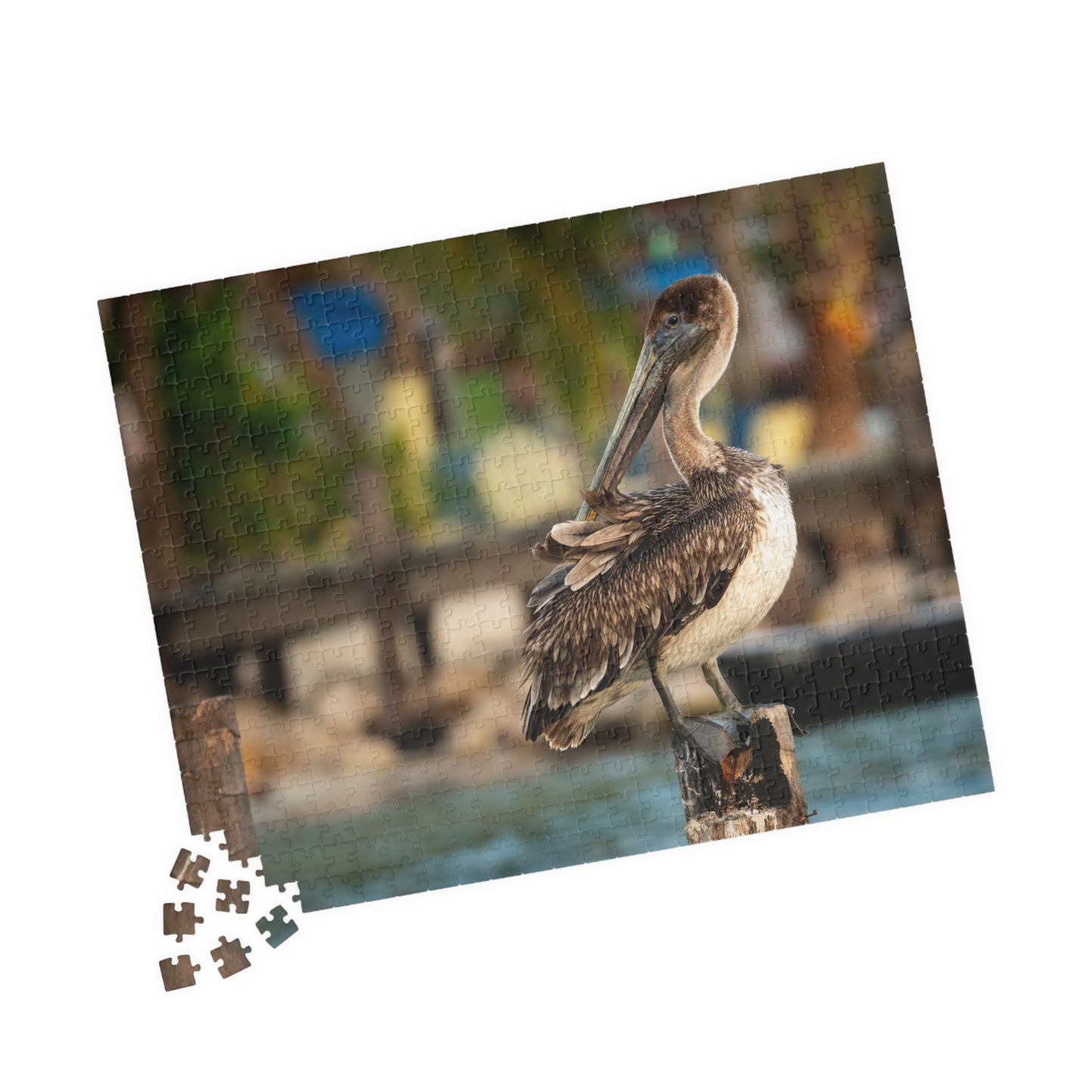 Caye Caulker Brown Pelican Dock Puzzle — 520/1014-Piece Belize Jigsaw