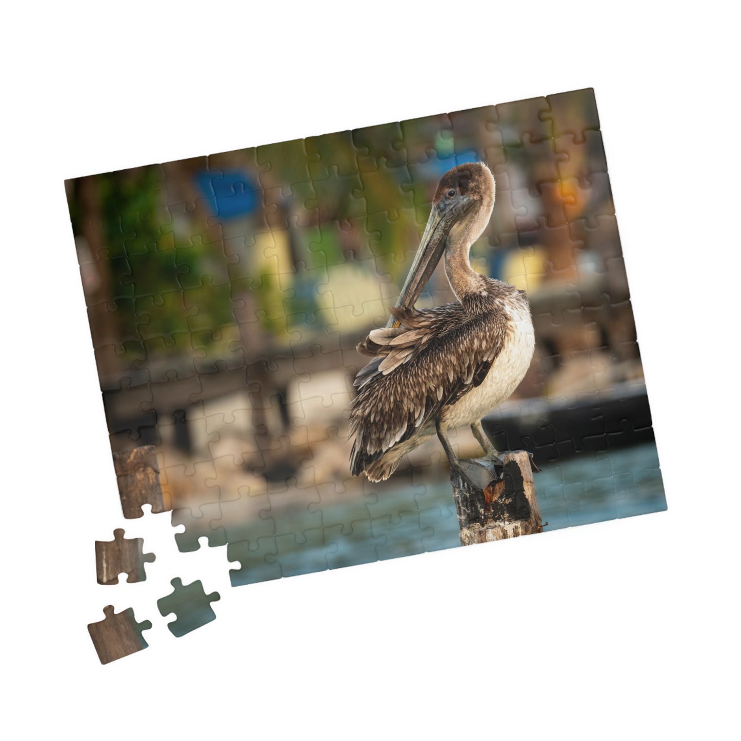 Caye Caulker Brown Pelican Dock Puzzle — 520/1014-Piece Belize Jigsaw