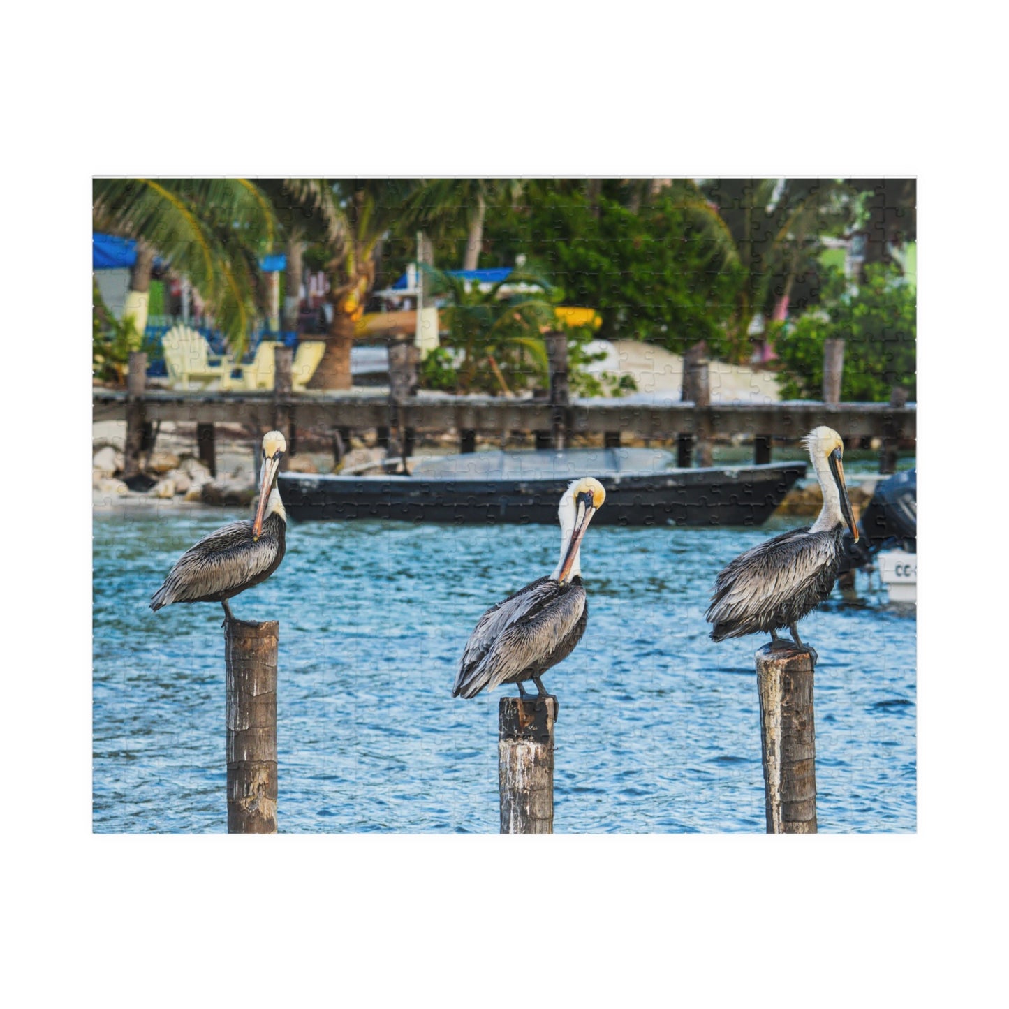 Pelican Harbor Jigsaw Puzzle — Scenic Coastal Bird Photography Puzzle (110–1014 pcs)