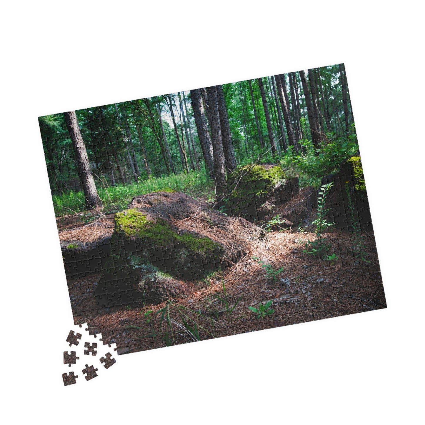 Forest Moss Trail Puzzle — Scenic Woodland Jigsaw (110/252/520/1014 pcs)