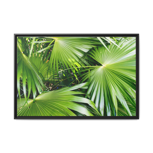 Tropical Palm Leaves Canvas Print - Corozal District, Belize (Matte Framed)