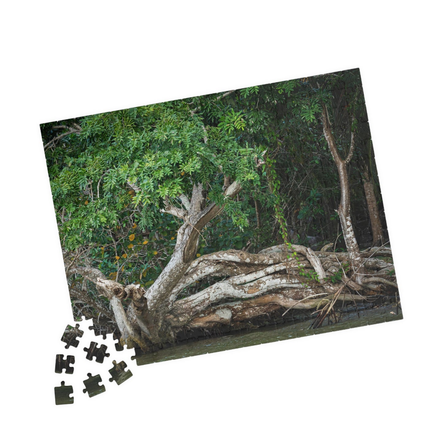 Belize Corozal Lagoon Jigsaw Puzzle — Tree Branches Intertwined (110–1014 pcs)