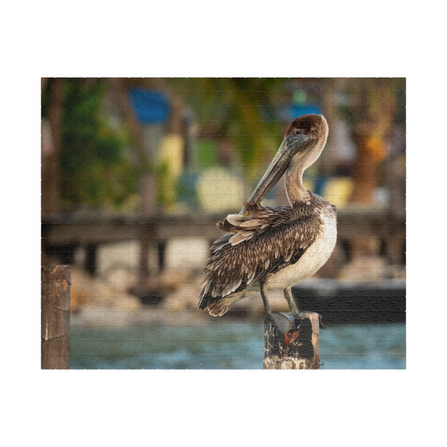 Caye Caulker Brown Pelican Dock Puzzle — 520/1014-Piece Belize Jigsaw