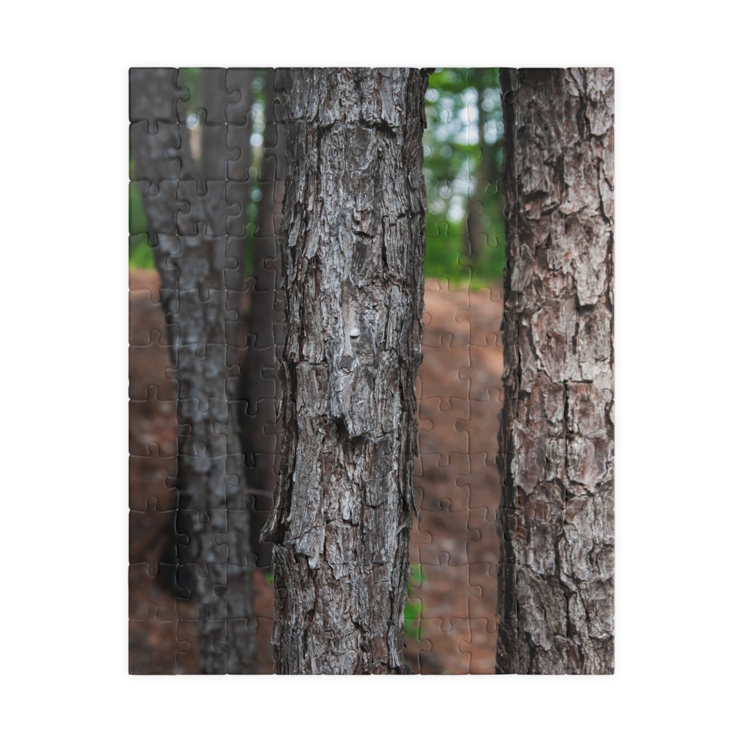 Tyler State Park Texas Jigsaw Puzzle — Scenic Nature Puzzle (110–1014 pcs)