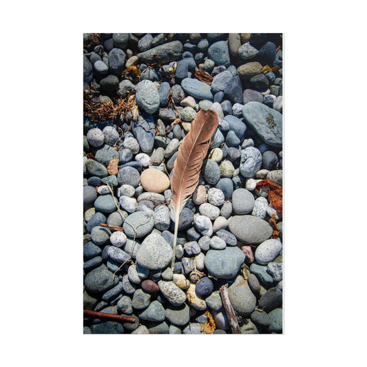 Whidbey Island Coastal Nature Poster - Feather on Pebbles Photography Print