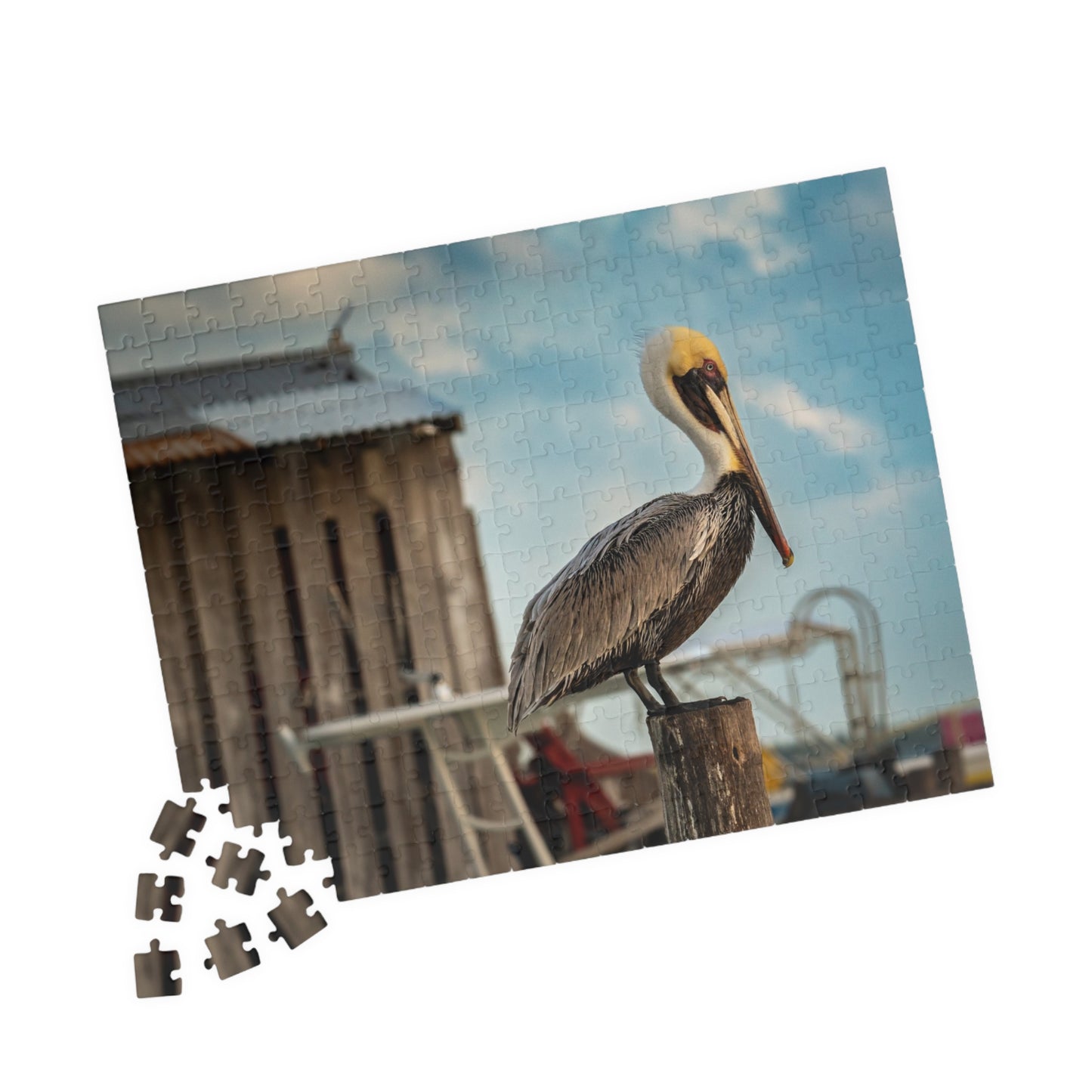 Caye Caulker Pelican Jigsaw Puzzle — Brown Pelican on Jetty Post (110–1014 pcs)
