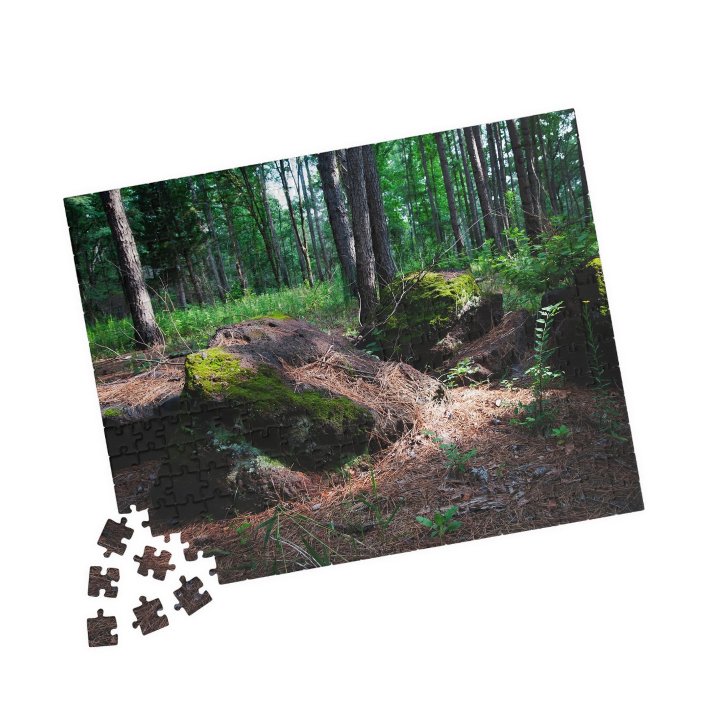 Forest Moss Trail Puzzle — Scenic Woodland Jigsaw (110/252/520/1014 pcs)