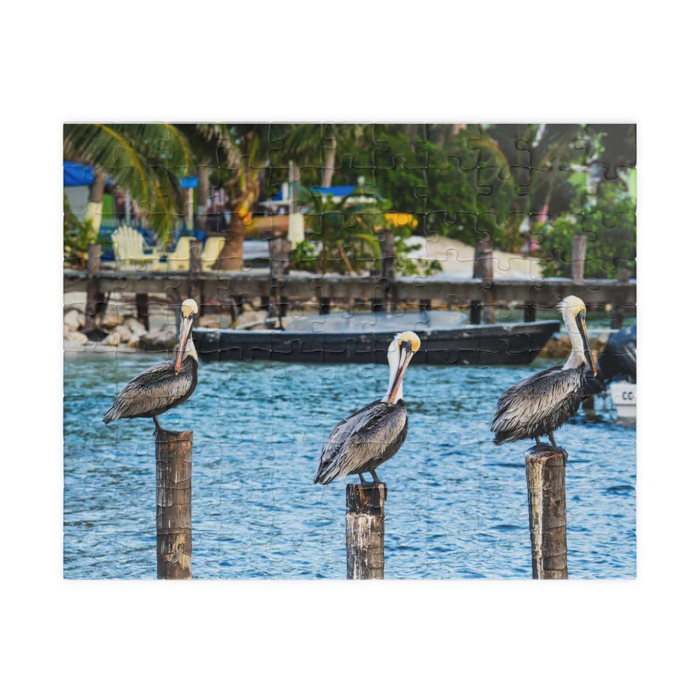 Pelican Harbor Jigsaw Puzzle — Scenic Coastal Bird Photography Puzzle (110–1014 pcs)
