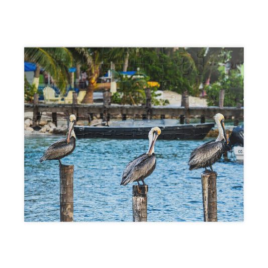 Pelican Harbor Jigsaw Puzzle — Scenic Coastal Bird Photography Puzzle (110–1014 pcs)