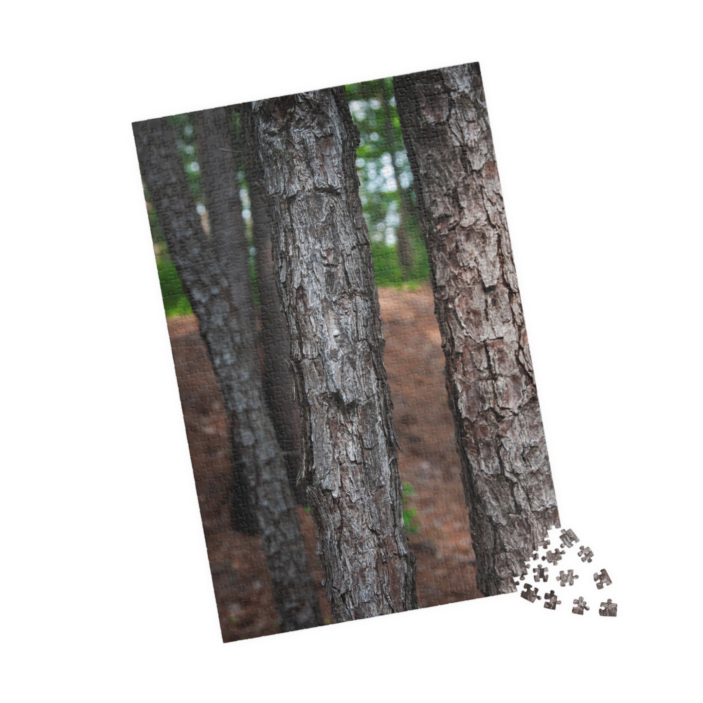 Tyler State Park Texas Jigsaw Puzzle — Scenic Nature Puzzle (110–1014 pcs)