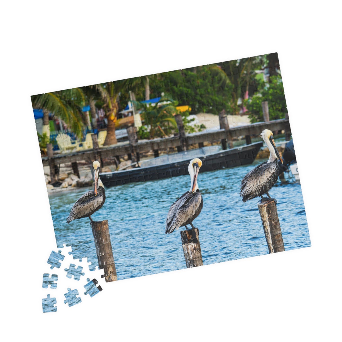 Pelican Harbor Jigsaw Puzzle — Scenic Coastal Bird Photography Puzzle (110–1014 pcs)