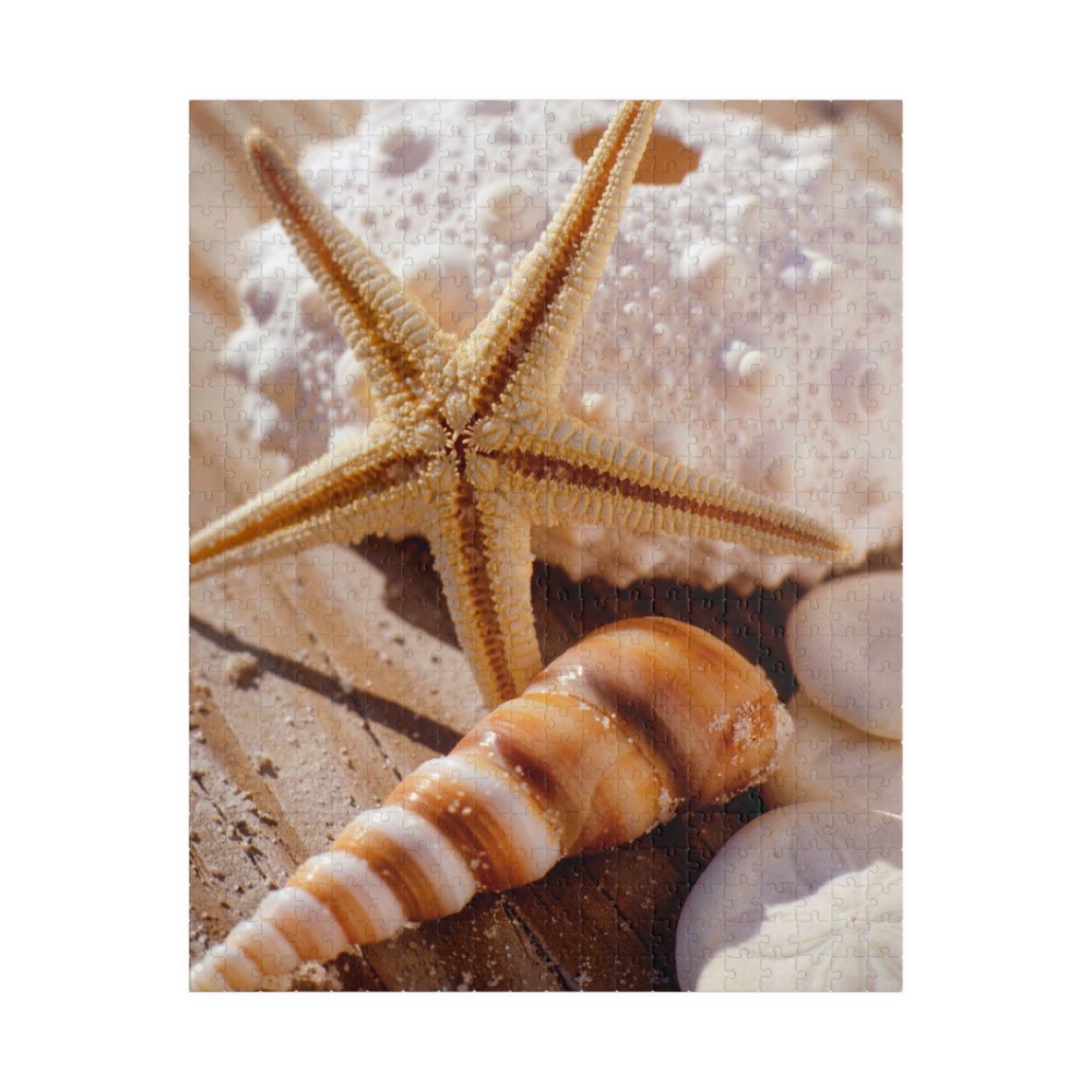 Seashell Starfish Jigsaw Puzzle – Beach Sunset 110/252/520/1014-Piece