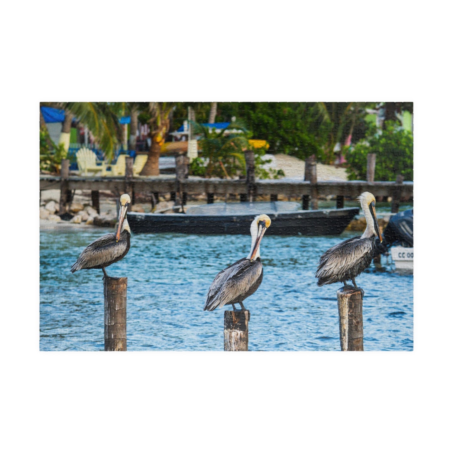 Pelican Harbor Jigsaw Puzzle — Scenic Coastal Bird Photography Puzzle (110–1014 pcs)
