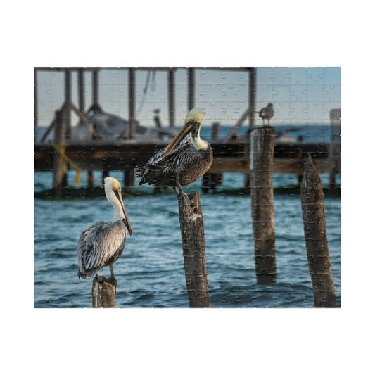 Caye Caulker Pelican Harbor Puzzle - Scenic Belize Island Panorama (252–1014 pcs)