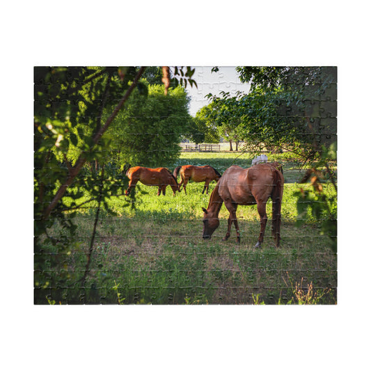 Horse in a Pasture, Texas Jigsaw Puzzle — Scenic Grazing Horses 110–1014 Piece