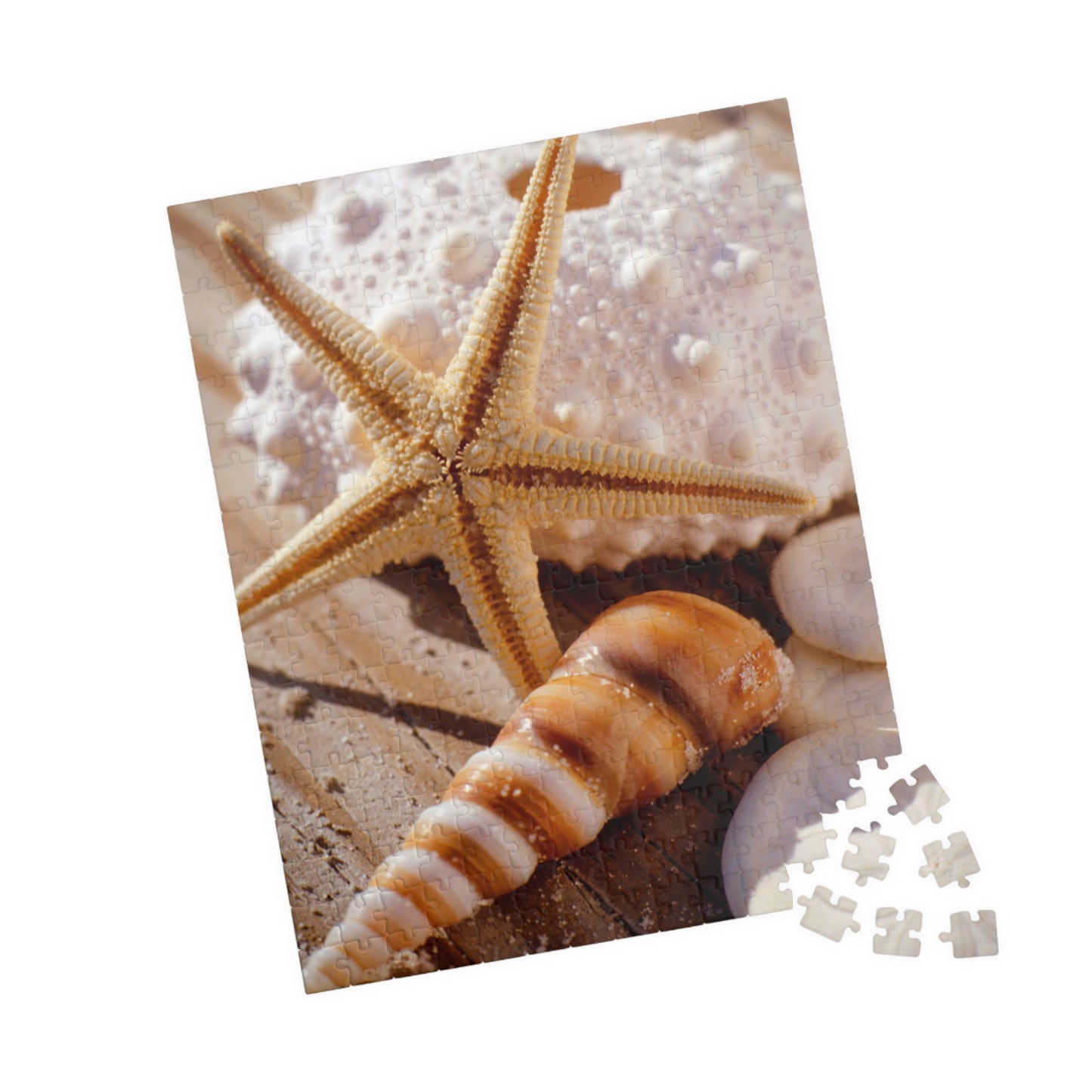 Seashell Starfish Jigsaw Puzzle – Beach Sunset 110/252/520/1014-Piece