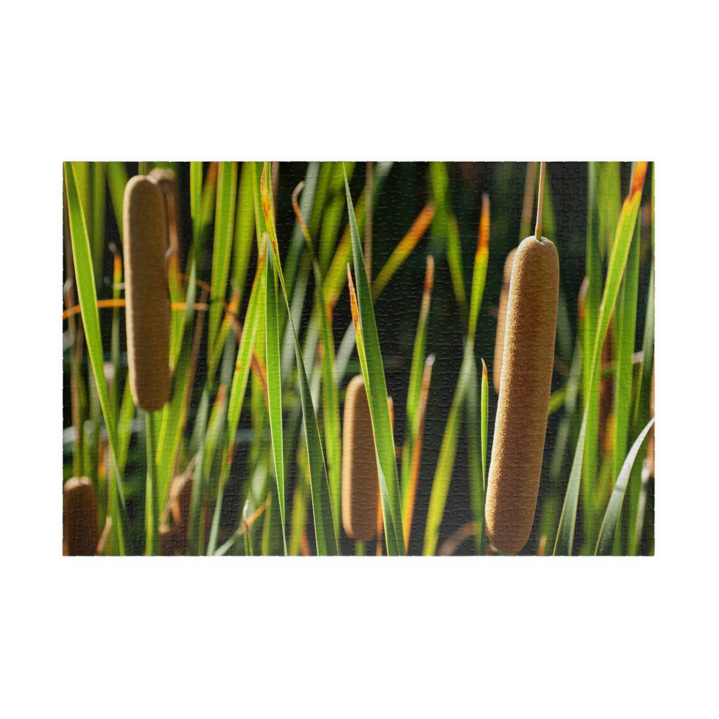 Cattail Marsh Nature Puzzle — Scenic Jigsaw (110/252/520/1014 pcs)