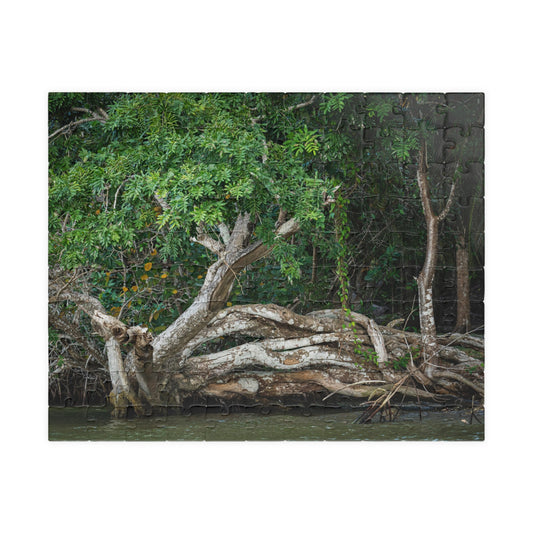 Belize Corozal Lagoon Jigsaw Puzzle — Tree Branches Intertwined (110–1014 pcs)