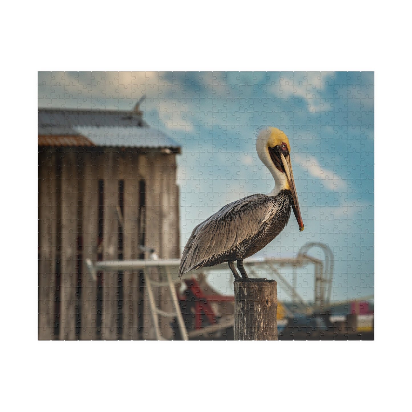 Caye Caulker Pelican Jigsaw Puzzle — Brown Pelican on Jetty Post (110–1014 pcs)