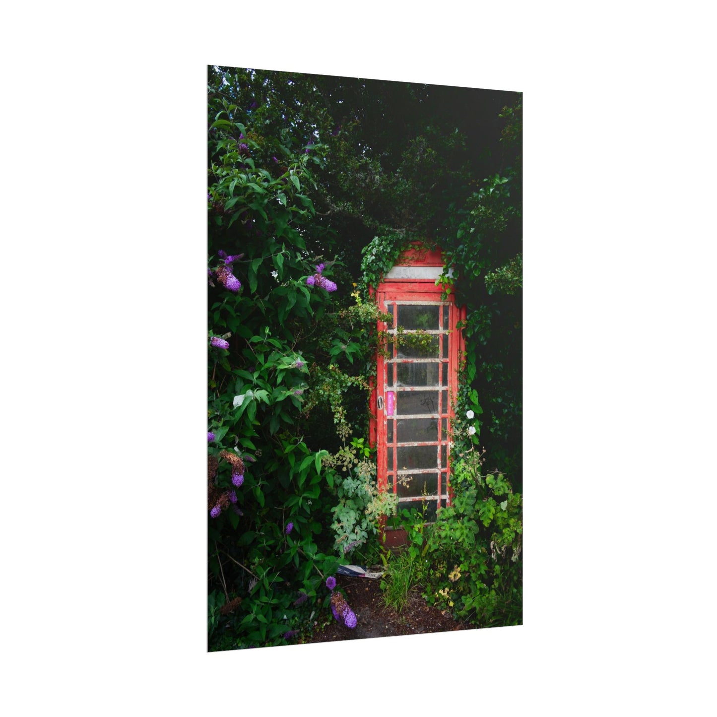 Vintage Red Phone Booth Poster — Overgrown Garden Wall Art Print