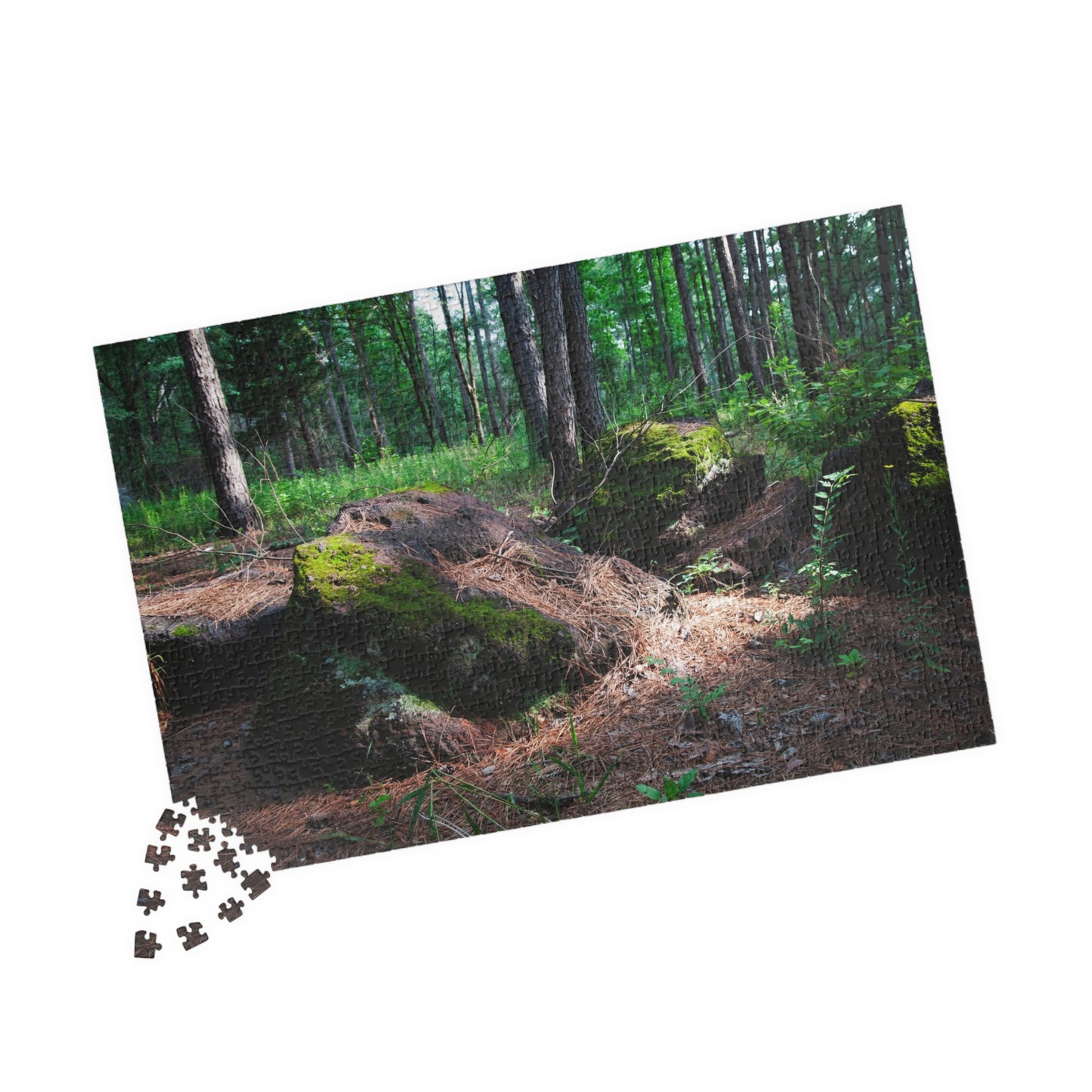 Forest Moss Trail Puzzle — Scenic Woodland Jigsaw (110/252/520/1014 pcs)