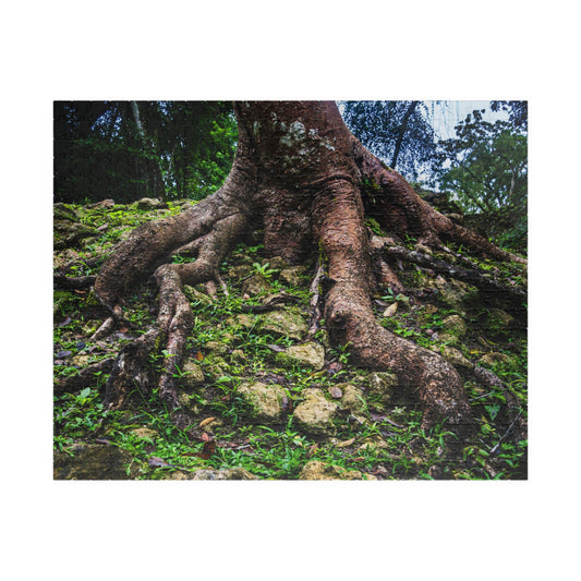 Cahal Pech Mayan Archaeological Reserve Belize Tree Roots Jigsaw Puzzle - 520/1014-Piece e Puzzle