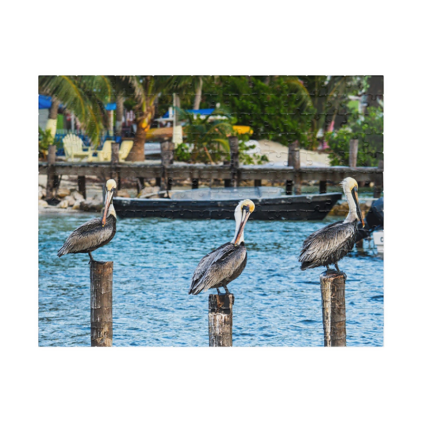 Pelican Harbor Jigsaw Puzzle — Scenic Coastal Bird Photography Puzzle (110–1014 pcs)