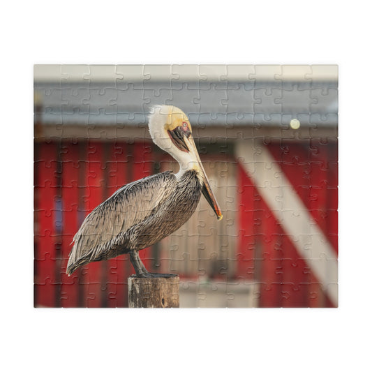 Caye Caulker Pelican Dock Jigsaw Puzzle — Brown Pelican over Red Boat Shelter (110–1014 pcs)