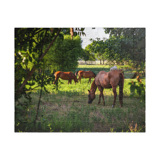Horse in a Pasture, Texas Jigsaw Puzzle — Scenic Grazing Horses 110–1014 Piece