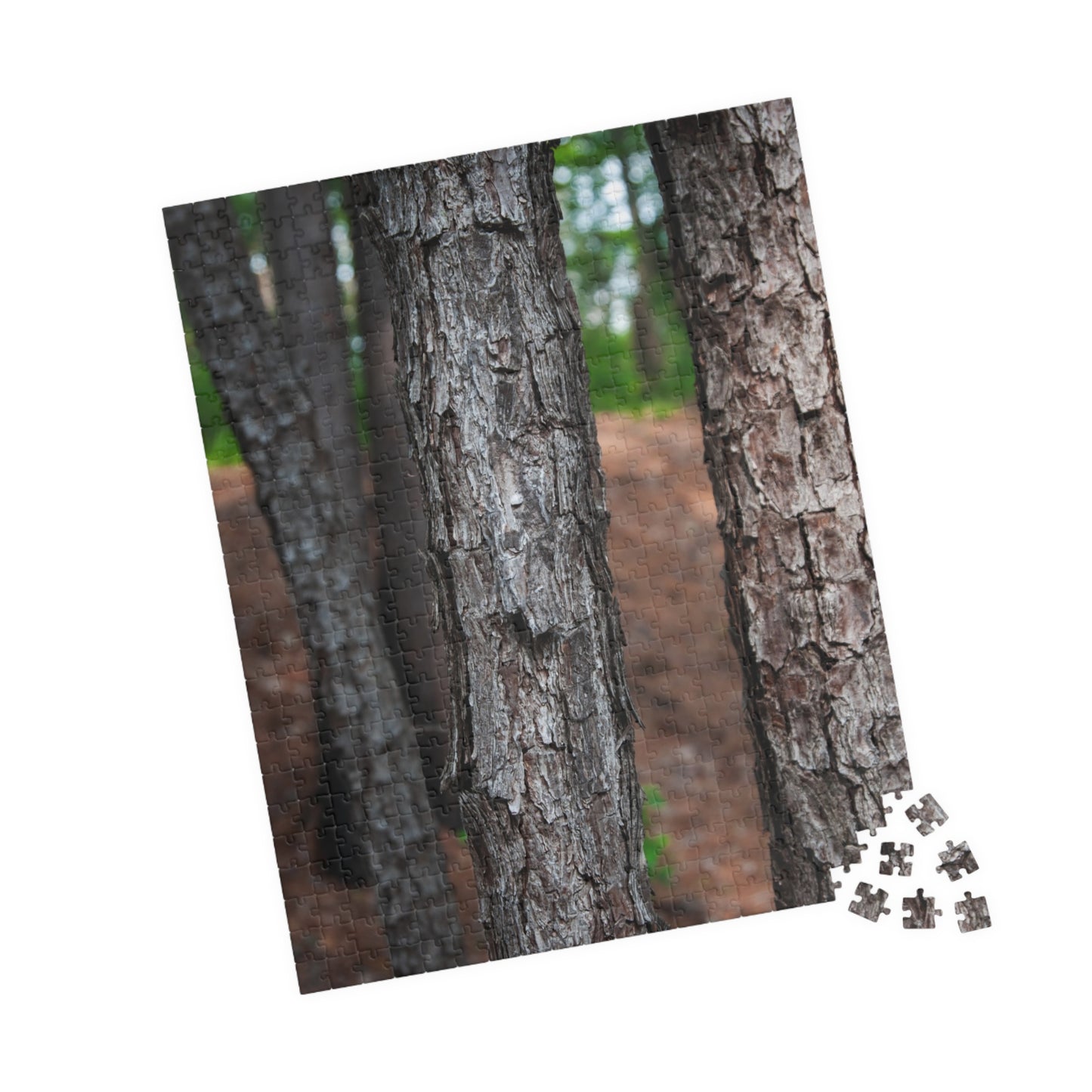 Tyler State Park Texas Jigsaw Puzzle — Scenic Nature Puzzle (110–1014 pcs)