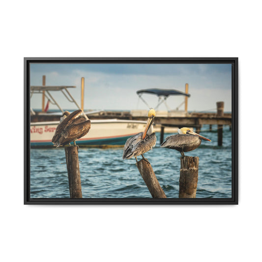 Framed Matte Canvas Print — Pelicans on Dock Coastal Wall Art