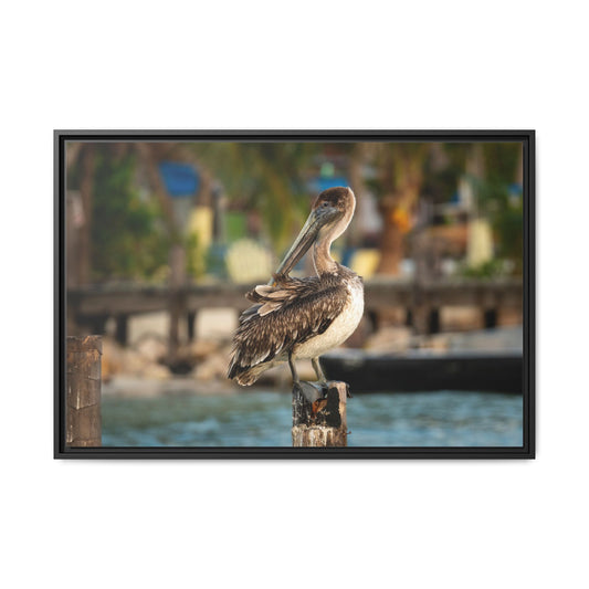 Pelican on the Dock — Framed Matte Canvas Wall Art