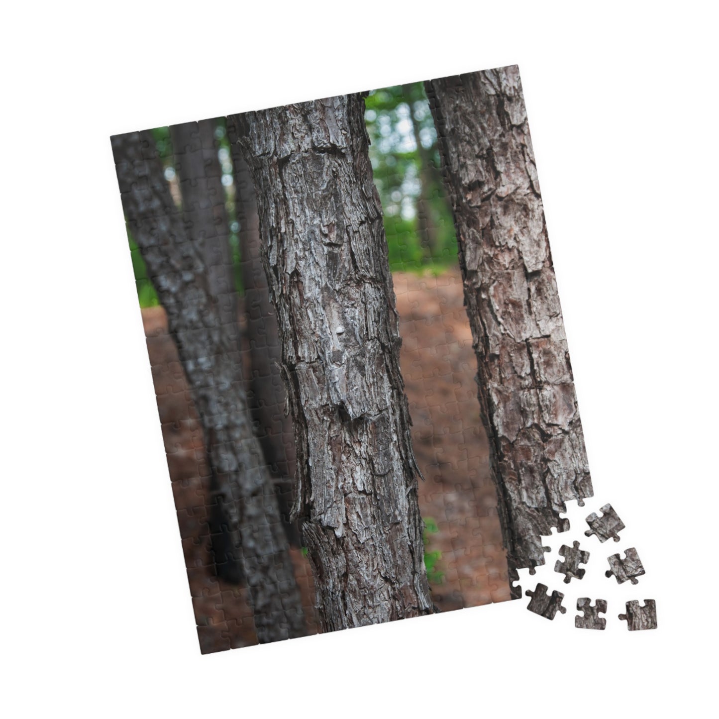 Tyler State Park Texas Jigsaw Puzzle — Scenic Nature Puzzle (110–1014 pcs)