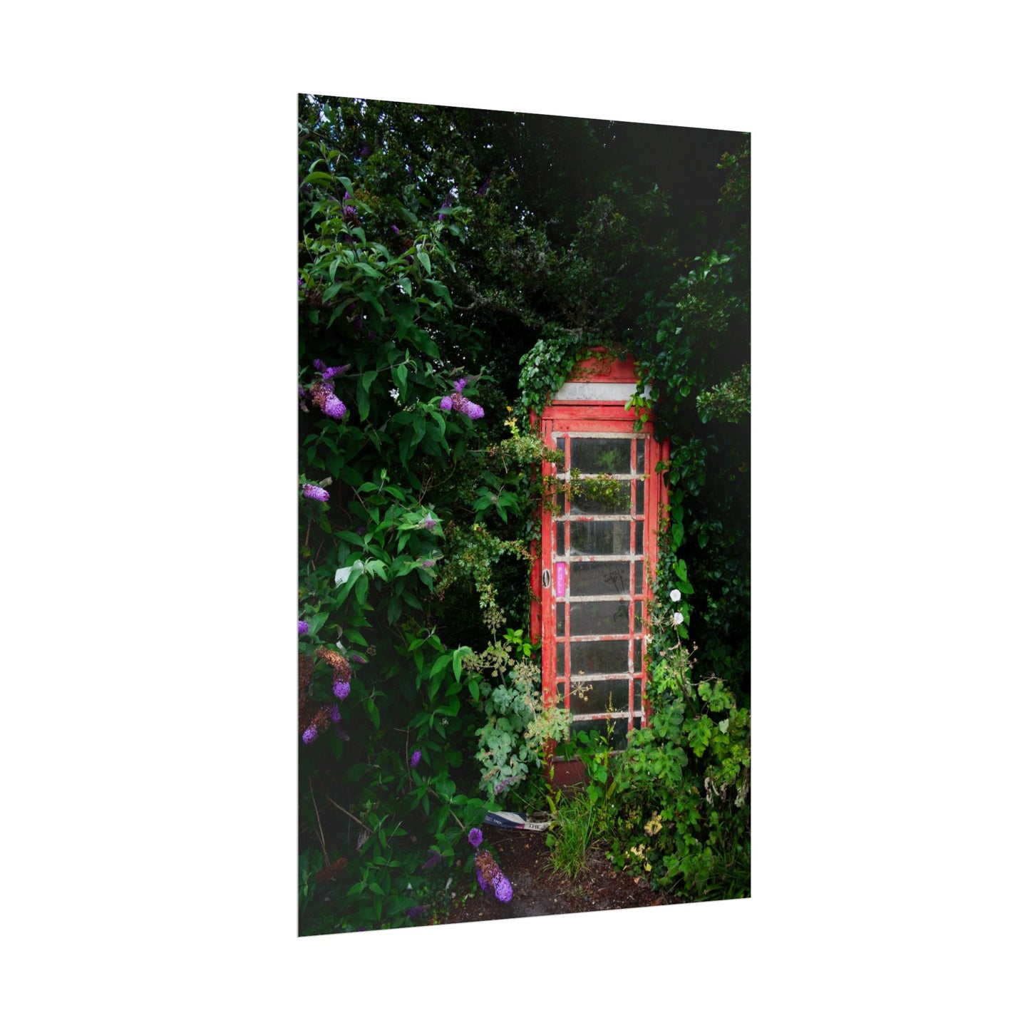 Vintage Red Phone Booth Poster — Overgrown Garden Wall Art Print