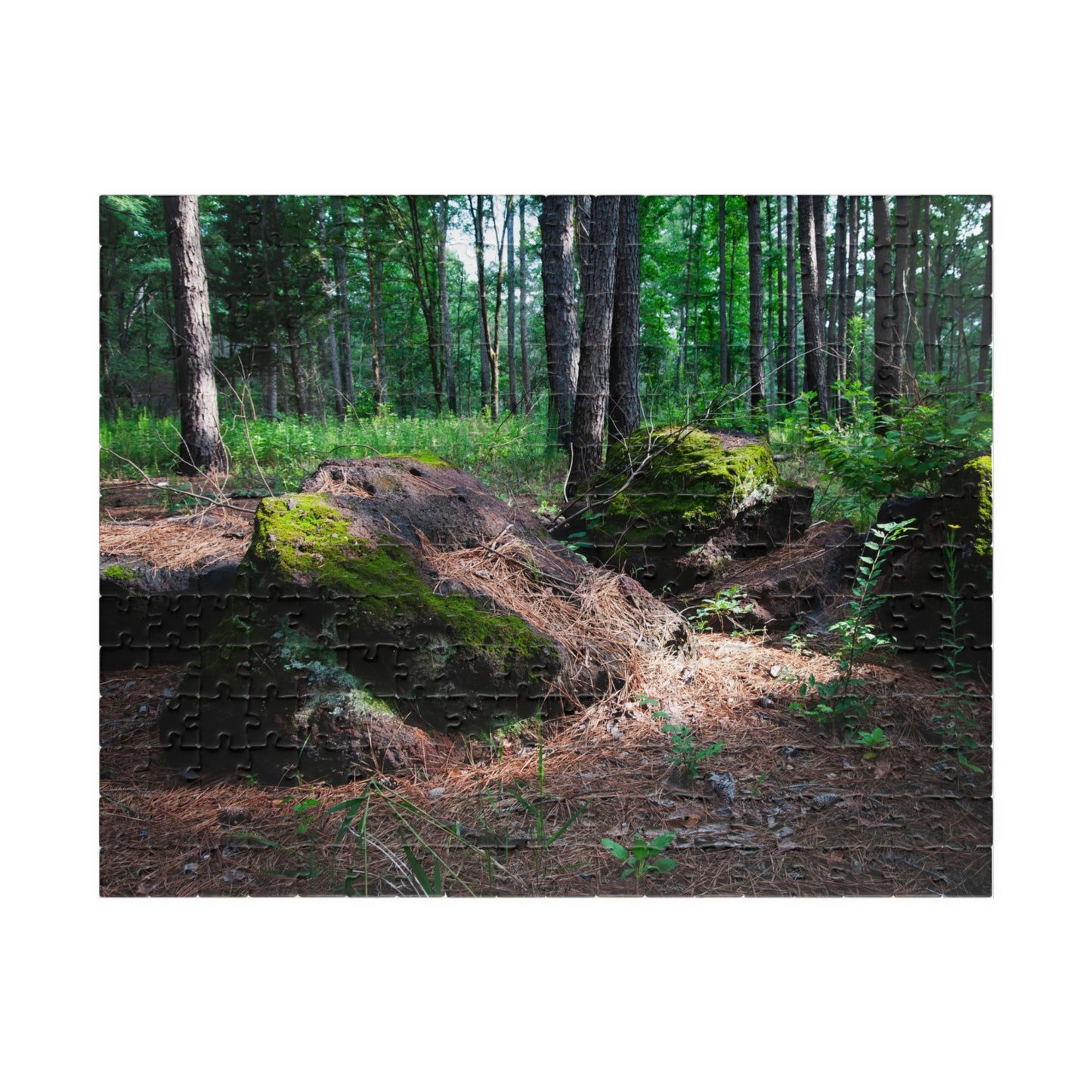 Forest Moss Trail Puzzle — Scenic Woodland Jigsaw (110/252/520/1014 pcs)