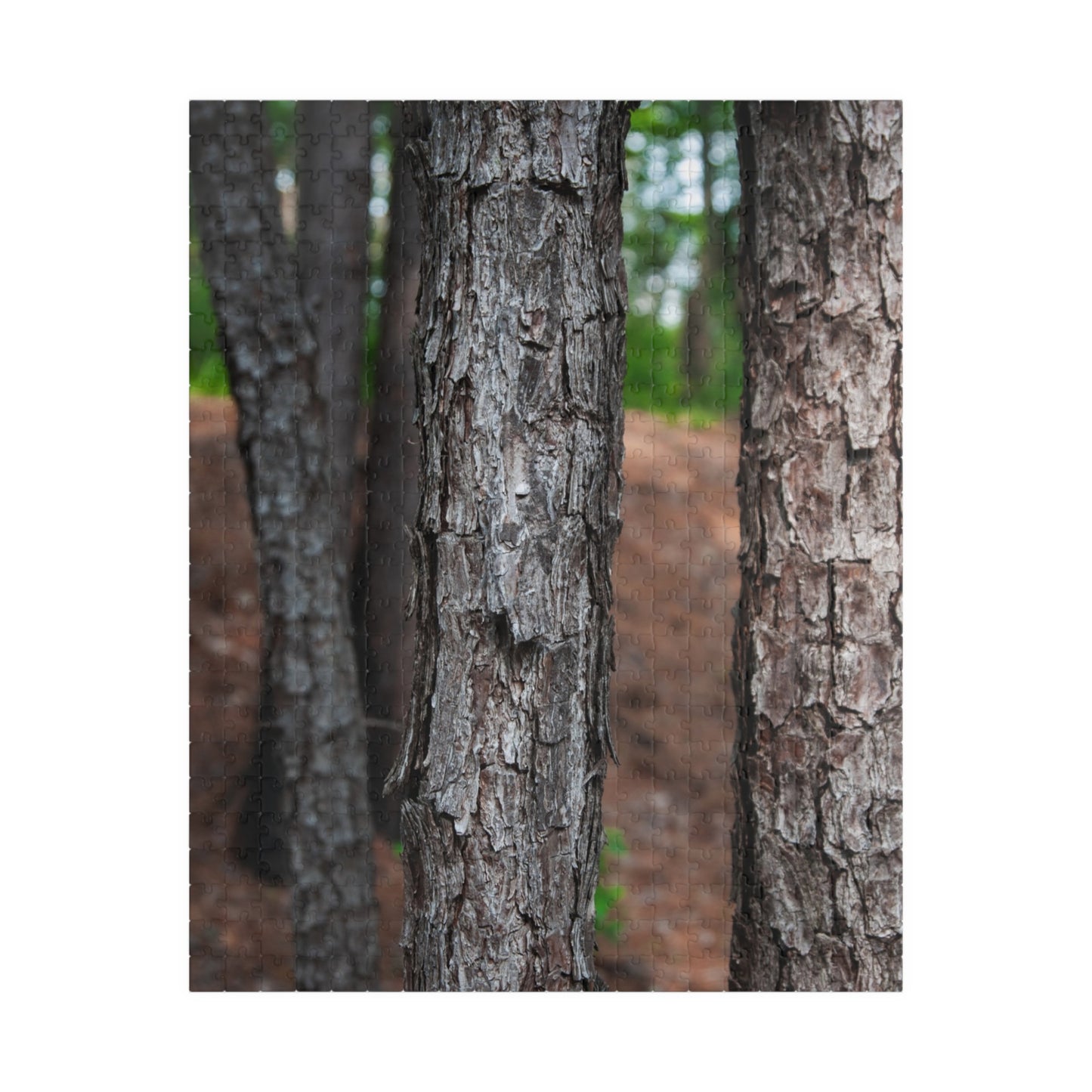 Tyler State Park Texas Jigsaw Puzzle — Scenic Nature Puzzle (110–1014 pcs)