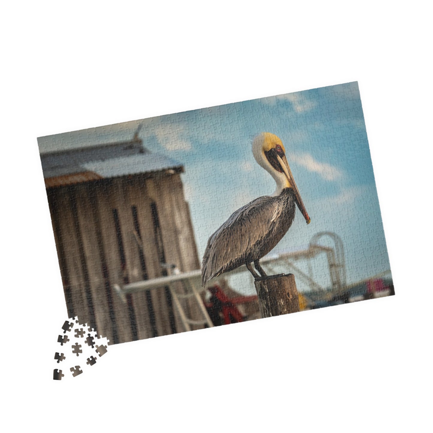 Caye Caulker Pelican Jigsaw Puzzle — Brown Pelican on Jetty Post (110–1014 pcs)