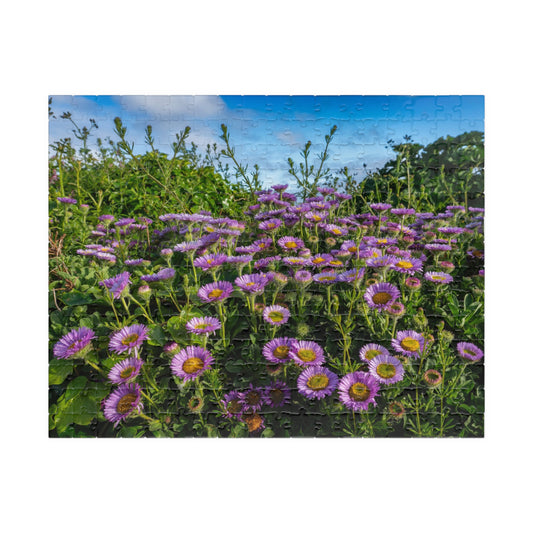 Cornwall Seaside Daisy Puzzle — Praa Sands Coastal Flower Jigsaw (520 pieces)