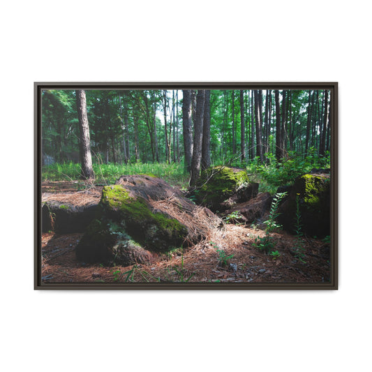 Framed Forest Canvas Print — Mossy Woodland Wall Art (Matte, Multi‑Color)