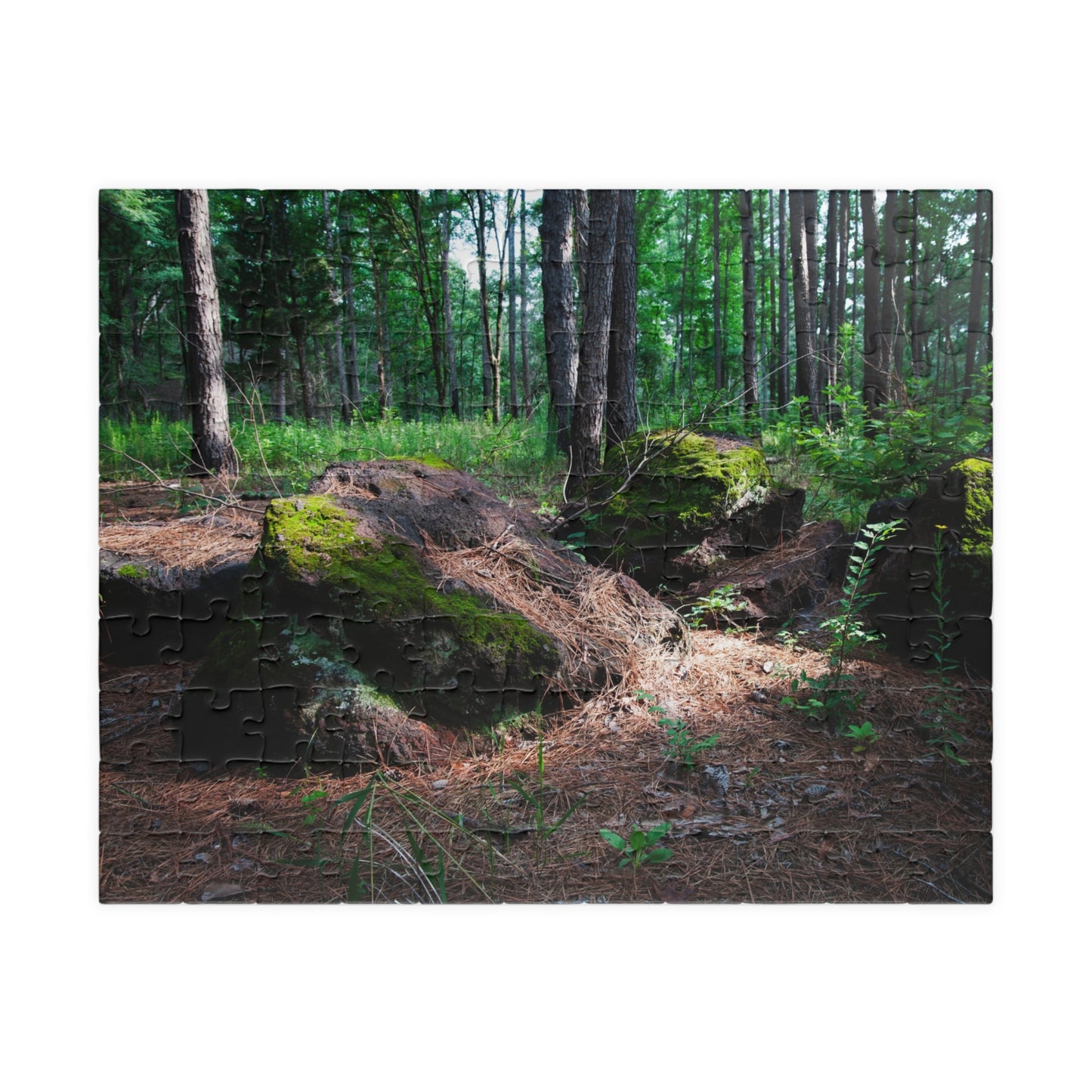Forest Moss Trail Puzzle — Scenic Woodland Jigsaw (110/252/520/1014 pcs)