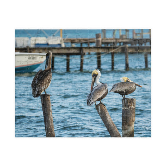Caye Caulker Brown Pelicans Jigsaw Puzzle - 520/252/110/1014-Piece Coastal Scene