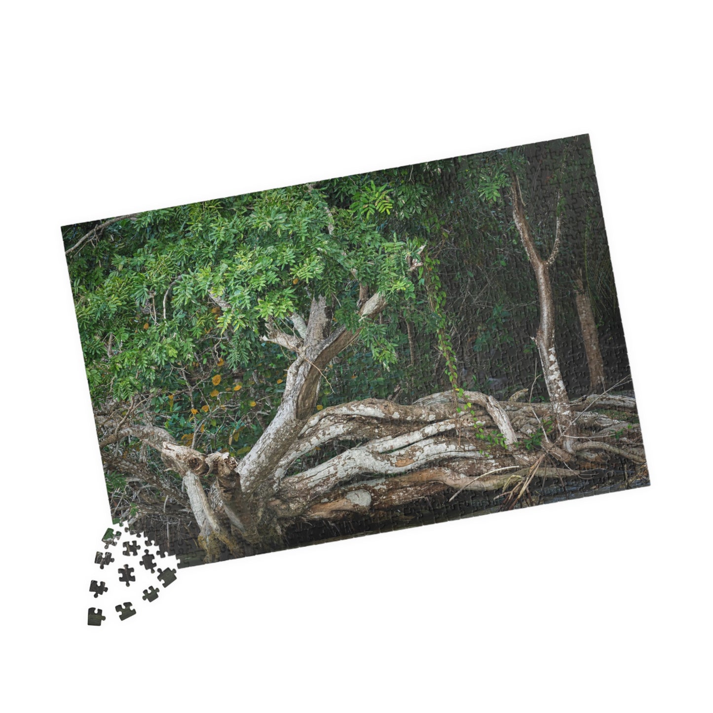 Belize Corozal Lagoon Jigsaw Puzzle — Tree Branches Intertwined (110–1014 pcs)