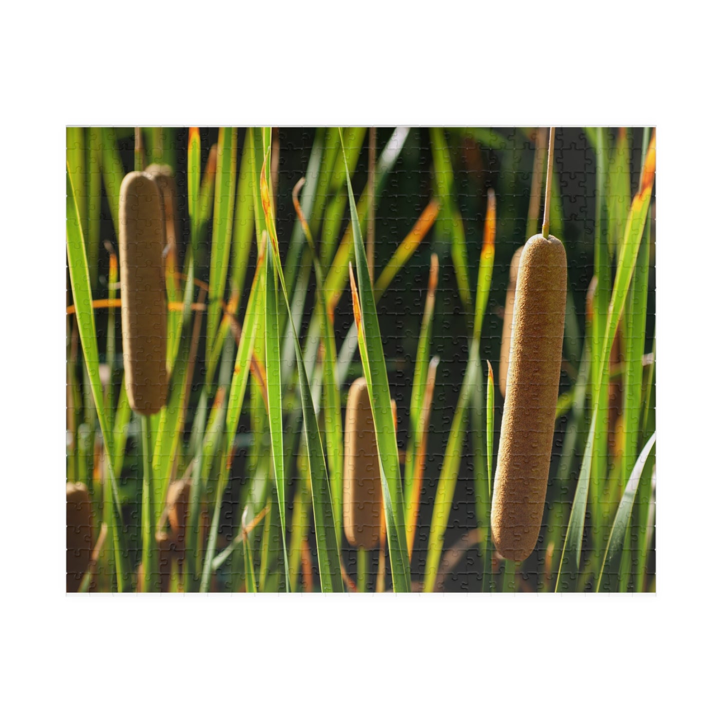 Cattail Marsh Nature Puzzle — Scenic Jigsaw (110/252/520/1014 pcs)