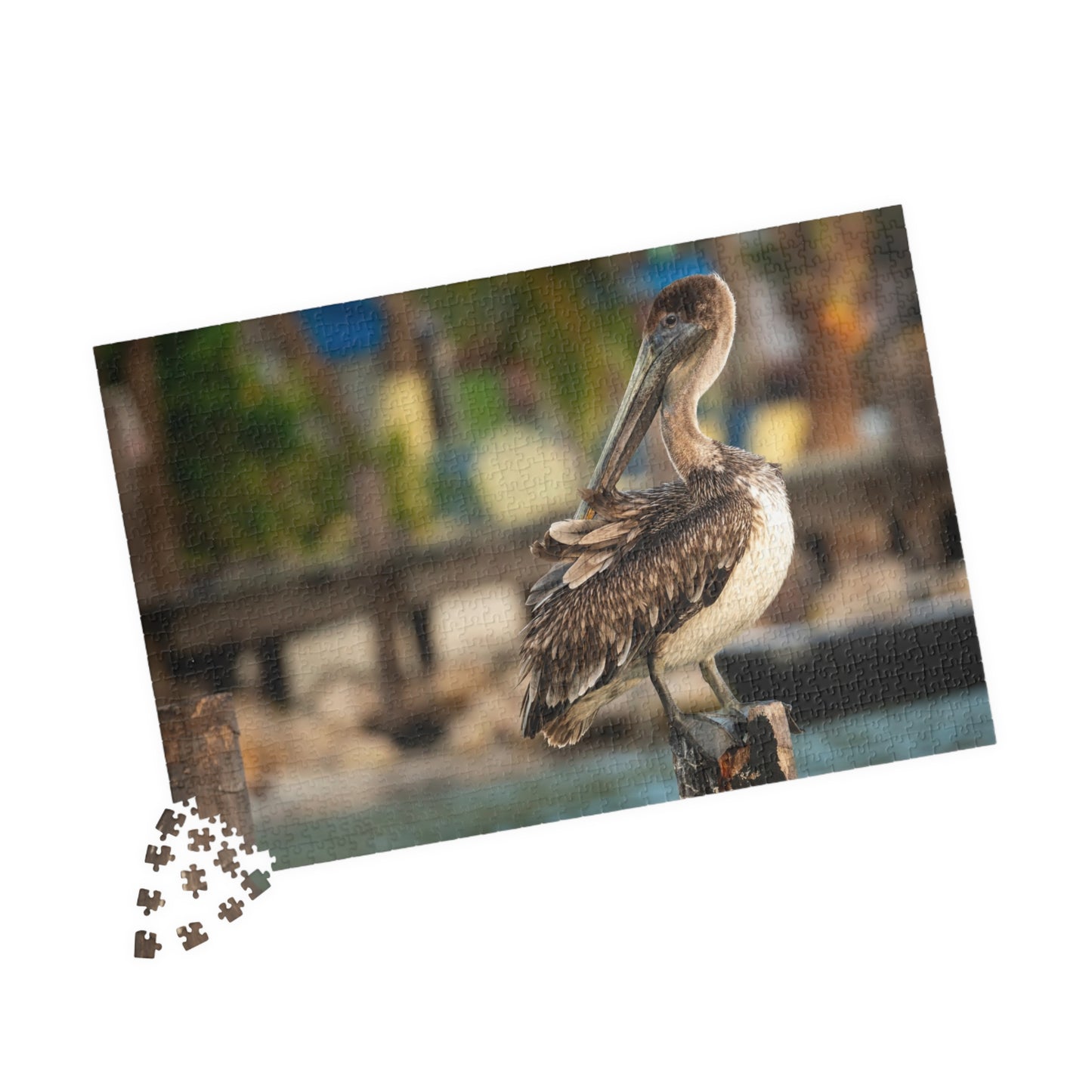Caye Caulker Brown Pelican Dock Puzzle — 520/1014-Piece Belize Jigsaw