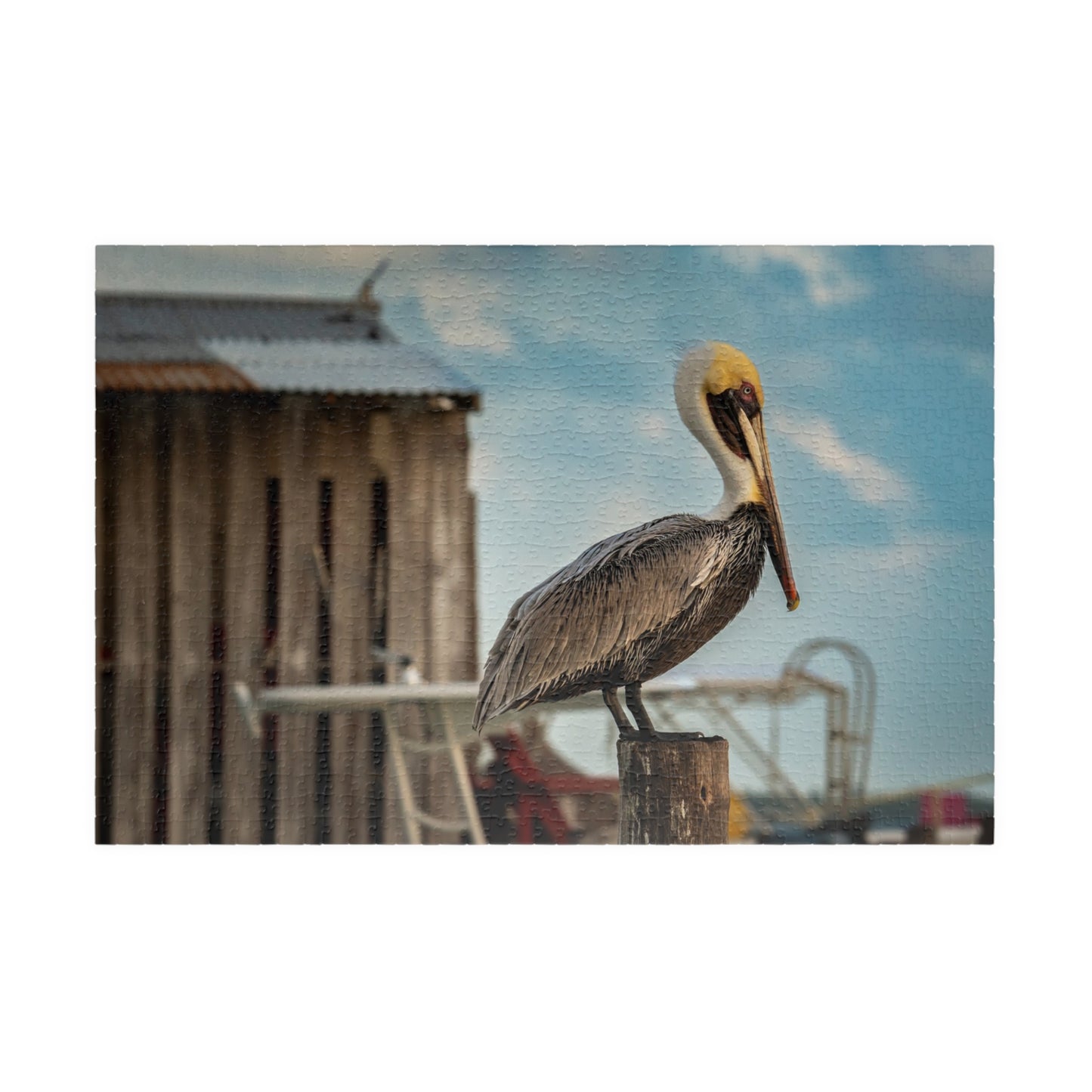Caye Caulker Pelican Jigsaw Puzzle — Brown Pelican on Jetty Post (110–1014 pcs)