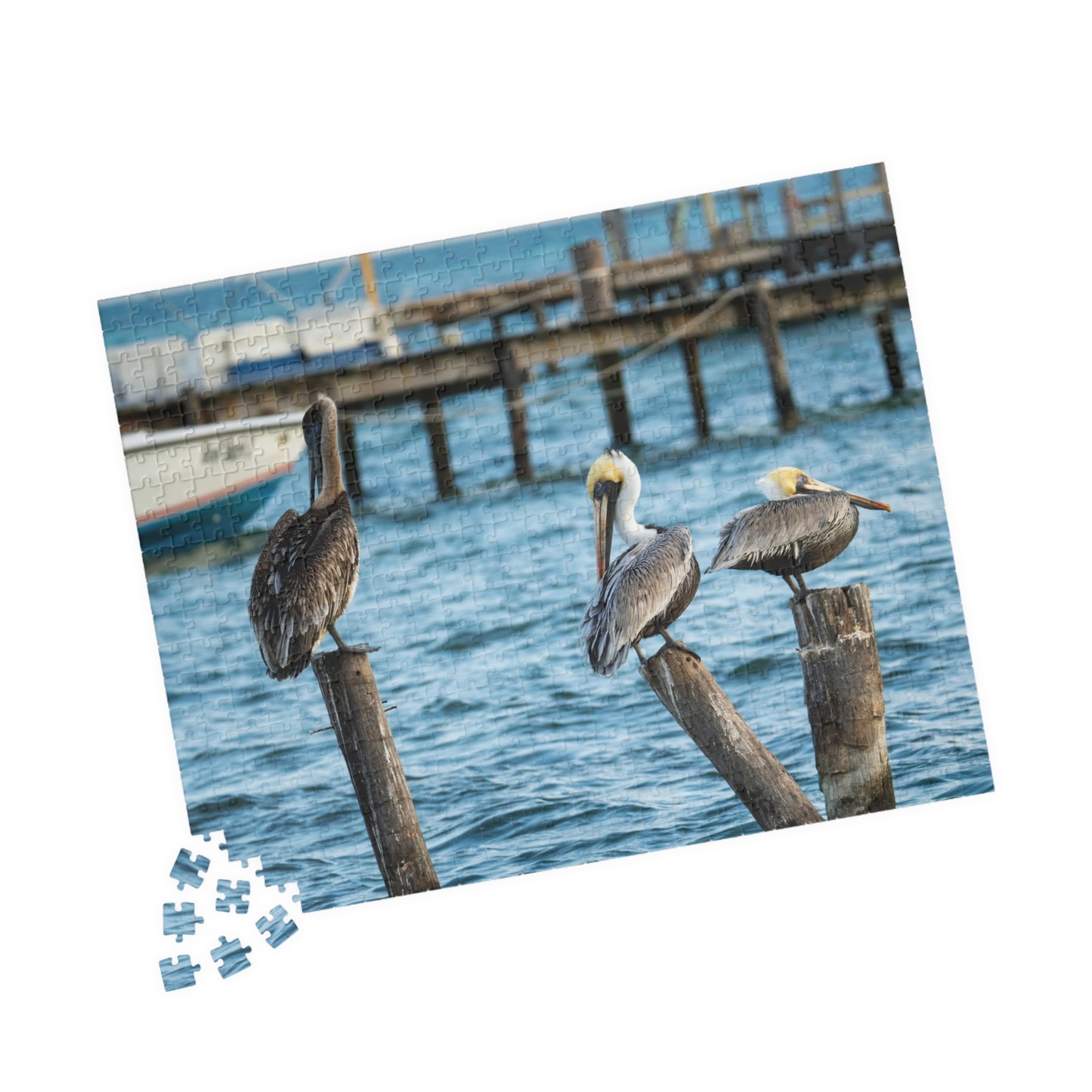 Caye Caulker Brown Pelicans Jigsaw Puzzle - 520/252/110/1014-Piece Coastal Scene