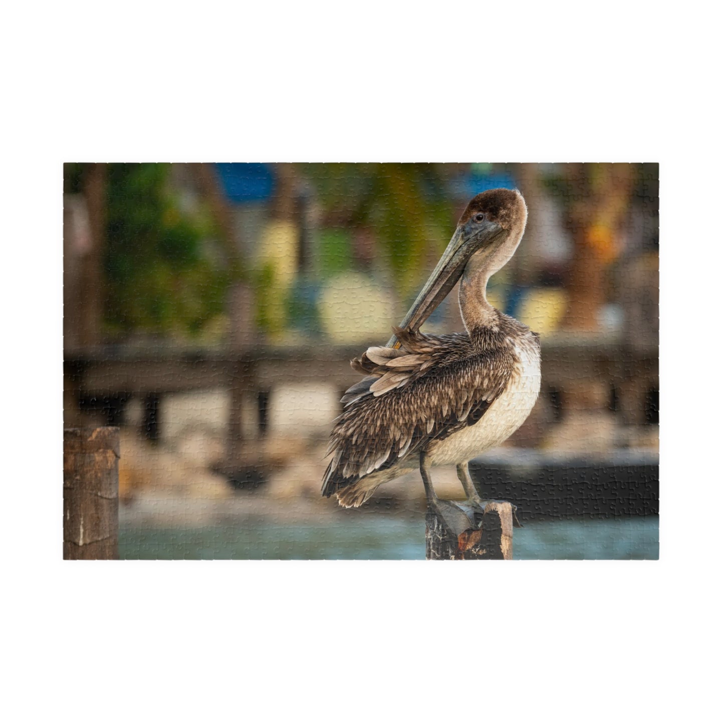 Caye Caulker Brown Pelican Dock Puzzle — 520/1014-Piece Belize Jigsaw